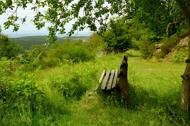 方式不仅延 方式不仅延