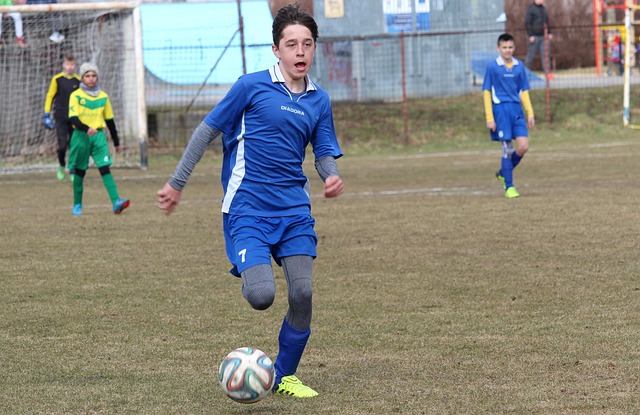 俱乐部应制 俱乐部应制