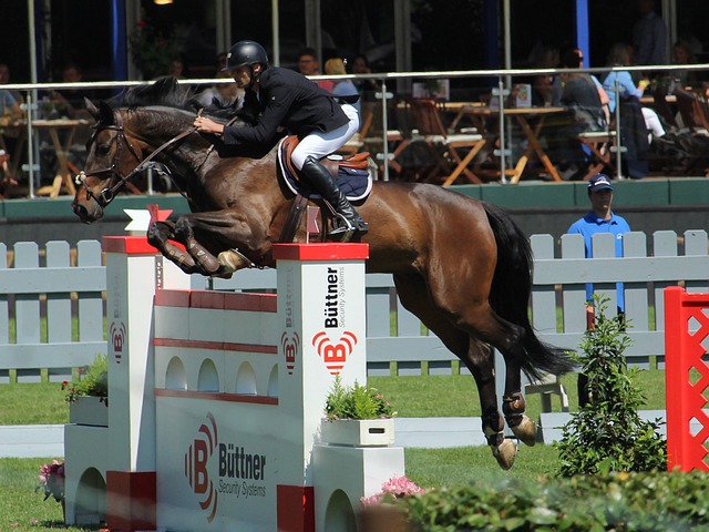 激情与速度 激情与速度