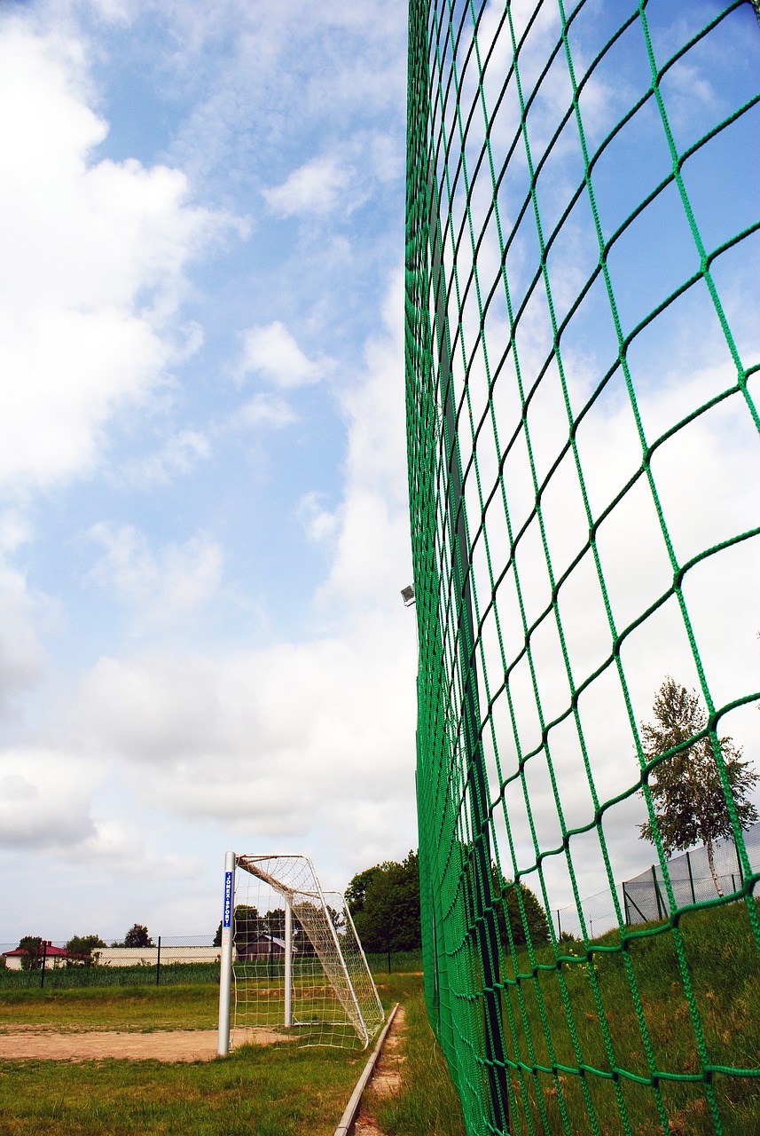 一大优势 一大优势