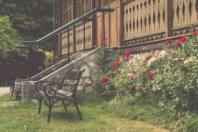 类在运动领 类在运动领