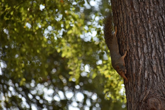 了充分的准 了充分的准