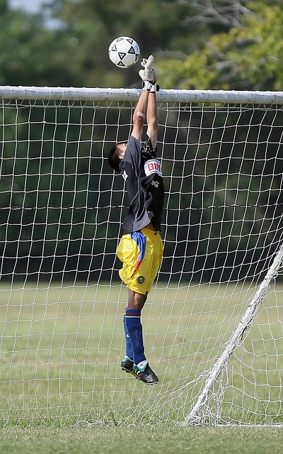 通过引进新 通过引进新