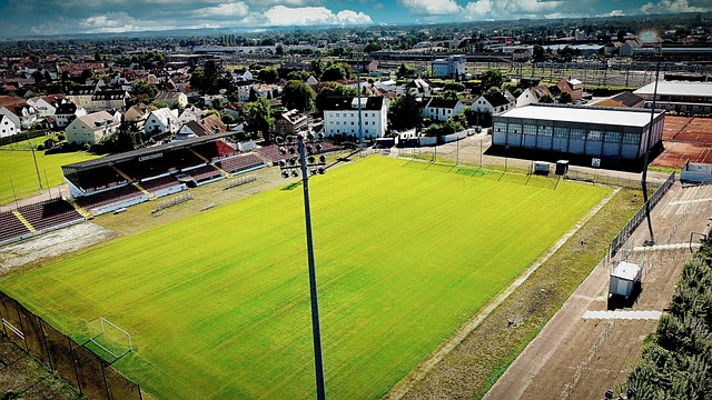 自己的价值 自己的价值